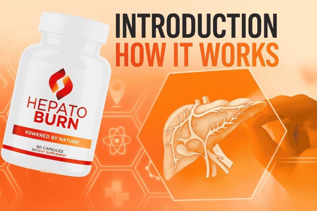 HepatoBurn bottle next to liver illustration highlighting natural liver support benefits of the supplement.